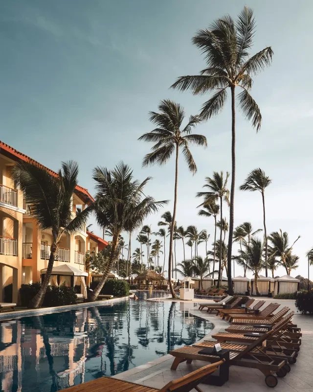 A resort pool lined with loungers and tall palm trees at golden hour